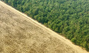 Farmland is seen next to the Amazon rainforest in Mato Grosso state Farmland is seen next to the Amazon rainforest in Mato Grosso state