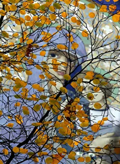 Fresco is seen through autumn leaves in a park in St. Petersburg Fresco is seen through autumn leaves in a park in St. Petersburg