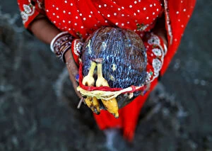 Images Dated 7th November 2016: A Hindu devotee holds offerings as she worships the rising sun while standing in the