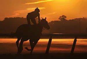 A horse and its rider are seen in silhouette during early morning workouts at Belmont A horse and its rider are seen in silhouette during early morning workouts at Belmont
