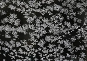Ice crystals are seen on a window at Skanes Djurpark Ice crystals are seen on a window at Skanes Djurpark