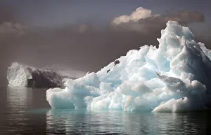 Icebergs float in a fjord near the south Greenland town of Narsaq Icebergs float in a fjord near the south Greenland town of Narsaq