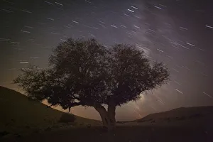 A long exposure shows stars behind a tree during the annual Perseid meteor shower A long exposure shows stars behind a tree during the annual Perseid meteor shower