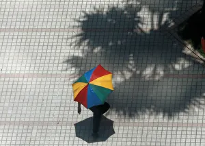 A man carries his umbrella as he walks past a tree in Colombo A man carries his umbrella as he walks past a tree in Colombo
