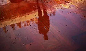 Images Dated 18th March 2014: Man casts a reflection on the floor covered with red coloured water during Huranga