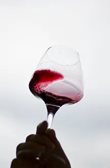 A man holds a glass of red wine from Spain during a tasting session at Vinexpo Asia-Pacific A man holds a glass of red wine from Spain during a tasting session at Vinexpo Asia-Pacific