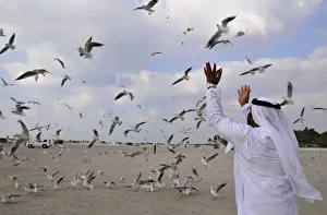 A man throws bread to seagulls at a beach in Jumeirah in Dubai A man throws bread to seagulls at a beach in Jumeirah in Dubai