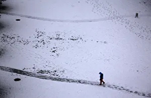 A man walks along a path as he looks at tracks left in snow after an overnight snowfall A man walks along a path as he looks at tracks left in snow after an overnight snowfall