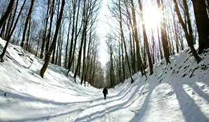 A MAN WALKS THROUGH A SNOW-COVERED PARK NEAR BRUSSELS A MAN WALKS THROUGH A SNOW-COVERED PARK NEAR BRUSSELS