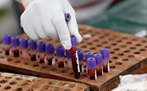 A medic arranges blood samples donated during a Valentines Day campaign A medic arranges blood samples donated during a Valentines Day campaign