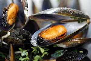 Mussels in white wine and tomato sauce are seen on plate at a restaurant in Warsaw Mussels in white wine and tomato sauce are seen on plate at a restaurant in Warsaw