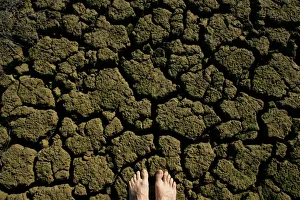 A parched pond is seen in Santiponce, southern Spain A parched pond is seen in Santiponce, southern Spain