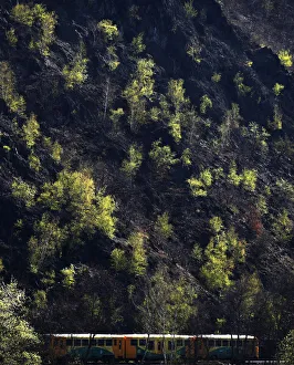 A passenger train travels past a growth of trees near the Czech capital Prague A passenger train travels past a growth of trees near the Czech capital Prague