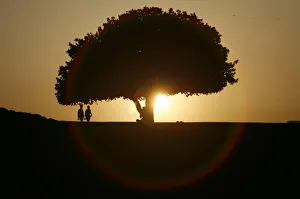 People are silhouetted against the setting sun at a park in New Delhi People are silhouetted against the setting sun at a park in New Delhi