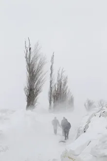 People walk on a snow-covered road near Glodeanu Silistea village People walk on a snow-covered road near Glodeanu Silistea village