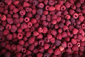 Picked raspberries are pictured in the village of Zeljezno Polje Picked raspberries are pictured in the village of Zeljezno Polje