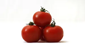 A picture illustration shows tomatoes in Munich A picture illustration shows tomatoes in Munich