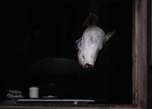 A pigs head is displayed for sale at a butcher stall in Havana A pigs head is displayed for sale at a butcher stall in Havana