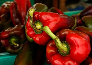 Red peppers are displayed on a vendors stand at the Farmers Market in Ta Qali Red peppers are displayed on a vendors stand at the Farmers Market in Ta Qali