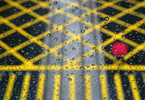 Resident walks across road under rainfall, seen through glass, in Hong Kong Resident walks across road under rainfall, seen through glass, in Hong Kong