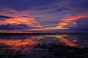 Residents look for fish during sunset in the shallow waters of Mogpog town in Marinduque island Residents look for fish during sunset in the shallow waters of Mogpog town in Marinduque island