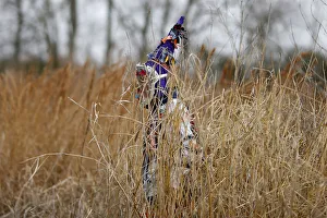 A reveller walks through a field during the Faquetaique Courir de Mardi Gras celebration A reveller walks through a field during the Faquetaique Courir de Mardi Gras celebration