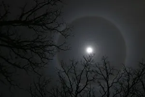 A ring, caused by a refraction of moonlight through ice crystals suspended in the upper atmosphere A ring, caused by a refraction of moonlight through ice crystals suspended in the upper atmosphere