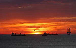 A seagull flies by as cargo ships and an offshore supply vessel lie at anchor at sunrise A seagull flies by as cargo ships and an offshore supply vessel lie at anchor at sunrise