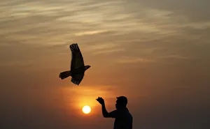 Silhouette of a vendor flying a kite is seen as he waits for customers during sunset Silhouette of a vendor flying a kite is seen as he waits for customers during sunset