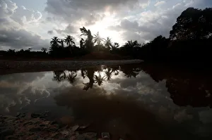 A small lake reflecting palm trees is pictured in Nsuaem district A small lake reflecting palm trees is pictured in Nsuaem district