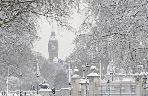 Snow covers tree branches in front of the Houses of Parliament in central London Snow covers tree branches in front of the Houses of Parliament in central London