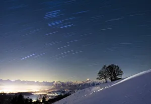 A time exposure photograph shows a tree in front of the snow covered Bernese alps A time exposure photograph shows a tree in front of the snow covered Bernese alps