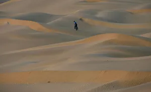 Tourists walk over the Thar Desert at Jaisalmer Tourists walk over the Thar Desert at Jaisalmer