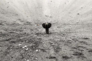 An unexploded mortar shell fired by Syrian Army is seen in Mleha suburb of Damascus An unexploded mortar shell fired by Syrian Army is seen in Mleha suburb of Damascus