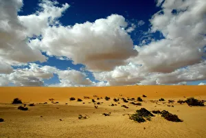 VIEW OF THE DESERT NEAR THE CITY OF BOUREM, NOTHERN MALI VIEW OF THE DESERT NEAR THE CITY OF BOUREM, NOTHERN MALI