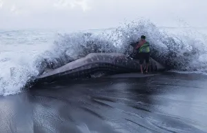 A villager looks closely at a whale shark which died after being stranded on the A villager looks closely at a whale shark which died after being stranded on the