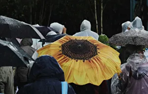 A visitor carries a floral umbrella during a heavy rain shower at the Chelsea Flower Show A visitor carries a floral umbrella during a heavy rain shower at the Chelsea Flower Show