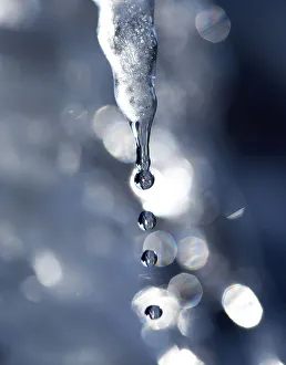 Water drips from icicles along the Oude Gracht canal in Utrecht Water drips from icicles along the Oude Gracht canal in Utrecht