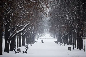 A woman walks with her dog during snowfall at a park in downtown Sofia A woman walks with her dog during snowfall at a park in downtown Sofia