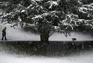 A woman walks her dog during snowy weather in Buxton A woman walks her dog during snowy weather in Buxton