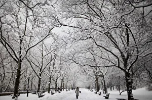 A woman walks on fresh snow in New York Citys Riverside Park A woman walks on fresh snow in New York Citys Riverside Park