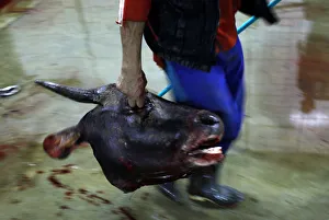 A worker carries a cows head at Cakung slaughterhouse in Jakarta A worker carries a cows head at Cakung slaughterhouse in Jakarta