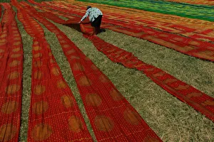 A worker lays batik cloth out on the grass to dry in Solo A worker lays batik cloth out on the grass to dry in Solo