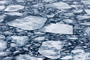 Weddell Sea Brash Ice Print