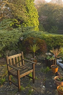David Tipling Photography Prints: 02012dt