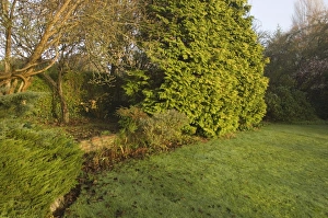 Autumn Landscape Photography UK Prints: 02013dt