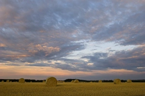 North Norfolk Hay Bales Print