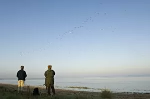 Images Dated 10th September 2006: Bird watchers watching Knot and other waders stream off The Wash ats the tide rises