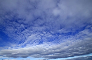 Blue Sky Backdrop Prints: clouds