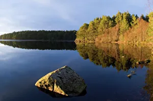 Loch Garten Cairngorm Nationmal Park Scotland winter Loch Garten Cairngorm Nationmal Park Scotland winter